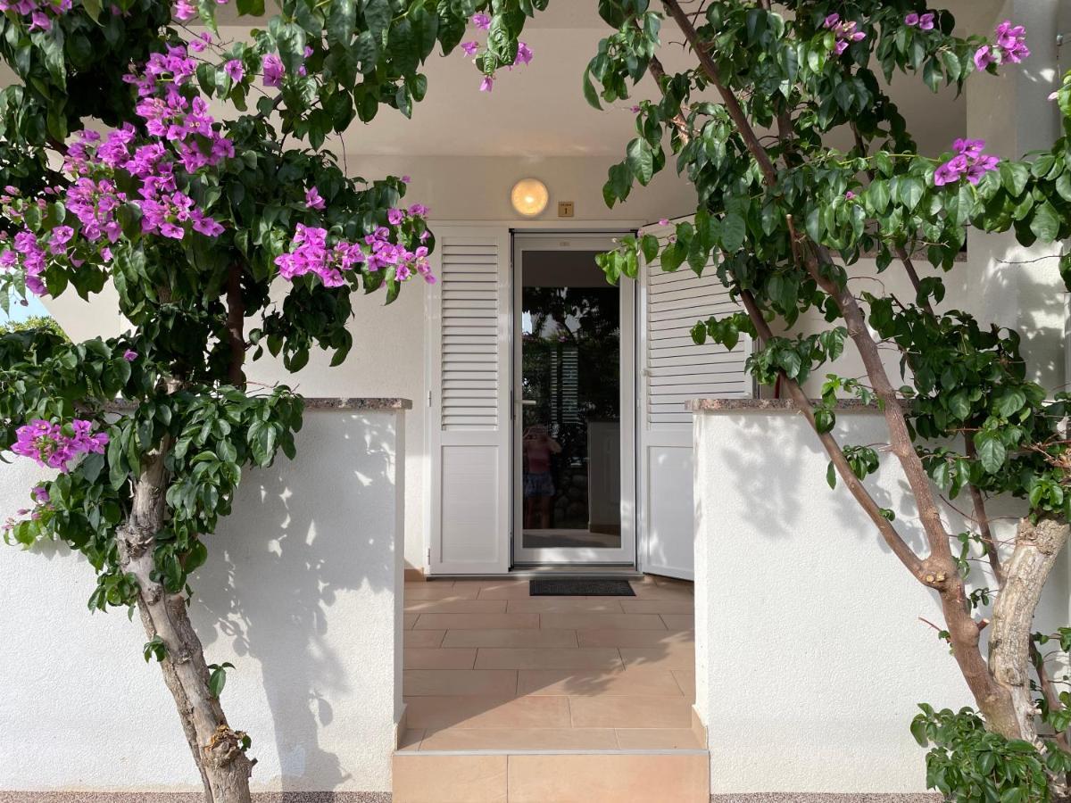 Novalja Apartments By Nena ภายนอก รูปภาพ